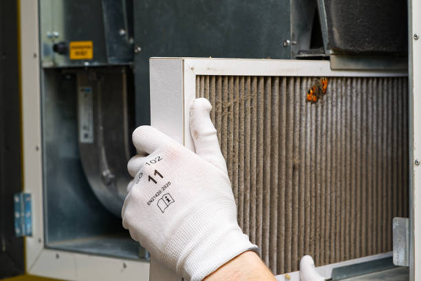 Best Air Duct Cleaning Near Me in Forestville, MD