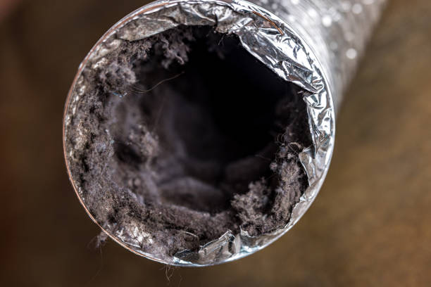 Best Affordable Duct Cleaning Services  in Forestville, MD