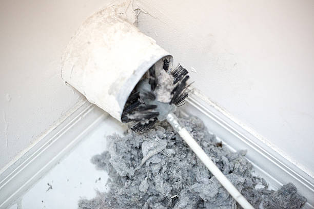 Best General Air Duct Cleaning  in Forestville, MD